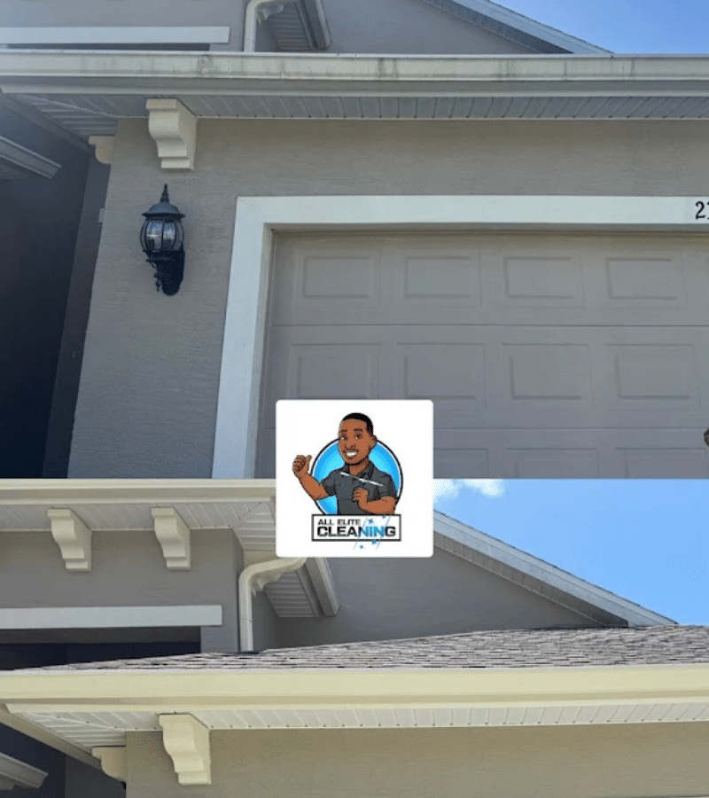 Gutter Cleaning Company in Port Orange, FL (3)
