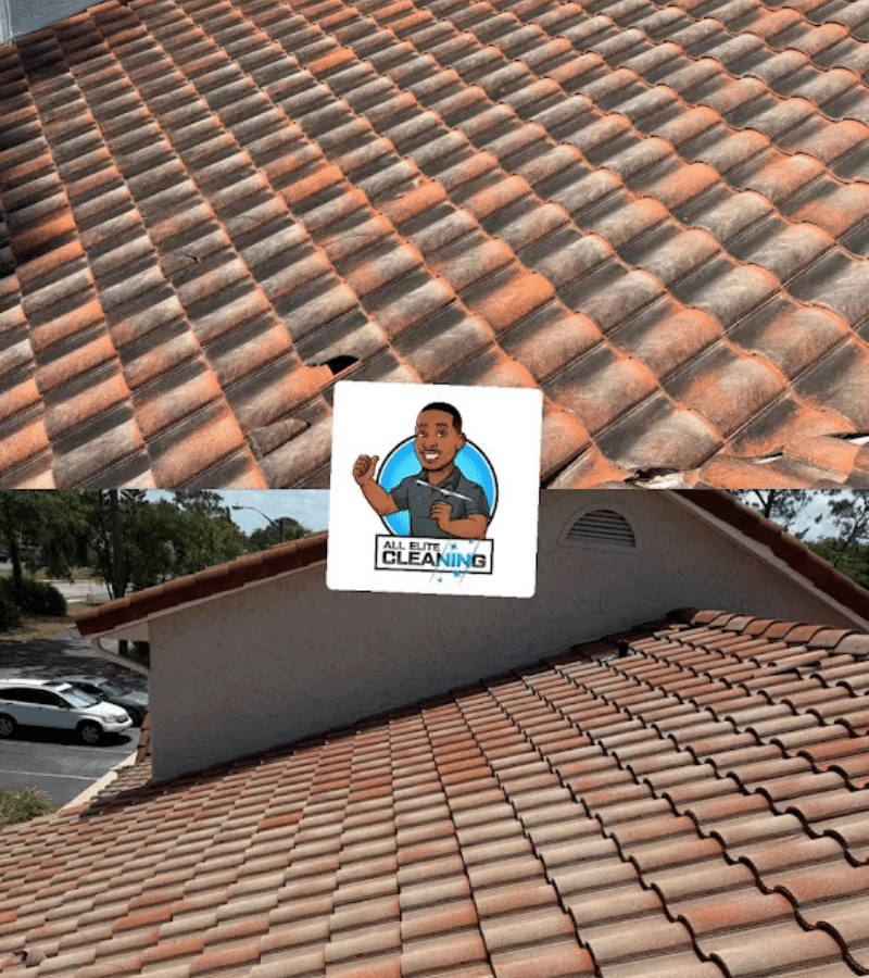 Roof Cleaning Company in Port Orange, FL