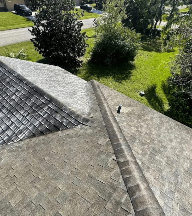 Roof Cleaning Company in Port Orange, FL
