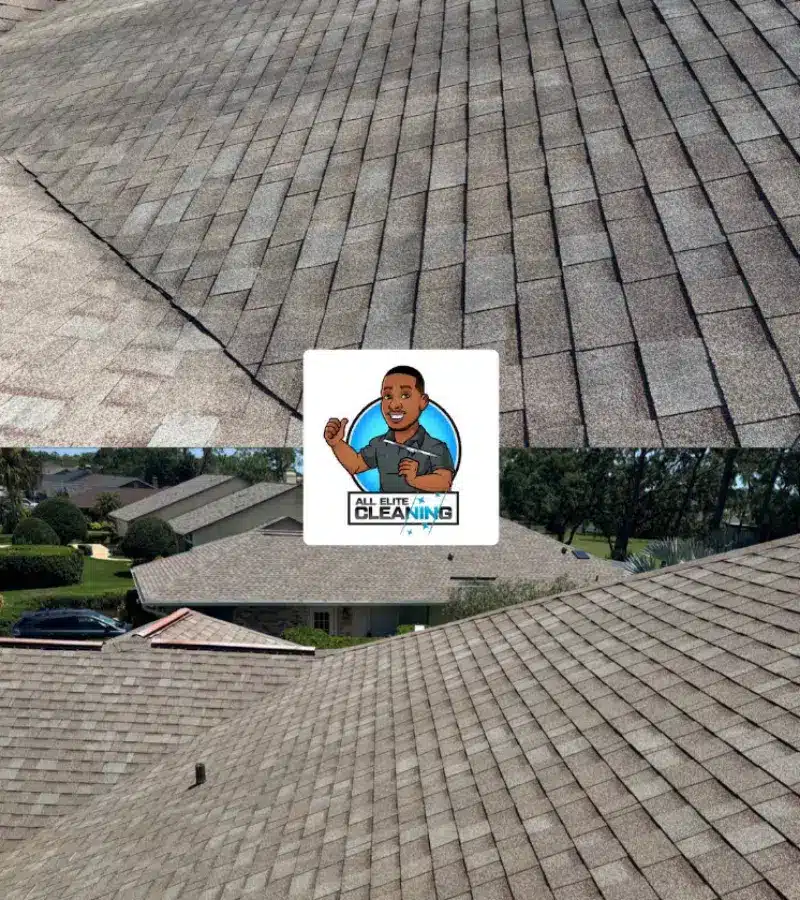 Roof Cleaning in Palm Coast, FL